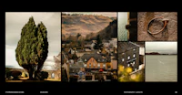a collage of pictures with a tree in the middle